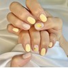 Dara Beauty June 2025 Art of the MonthLemon Nail❣ -