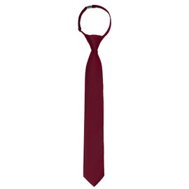 Puistr Boys Burgundy Tie Pre-tied Adjustable Kids Solid Color Necktie for Age 8-12 Years Wedding School Graduation with Gift Box