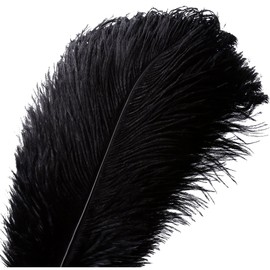 VoilaLove 10pcs Natural Ostrich Feather Craft 12-14inch(30-35cm) Plume for Wedding Centerpieces Home Decoration (12-14inch,Black)
