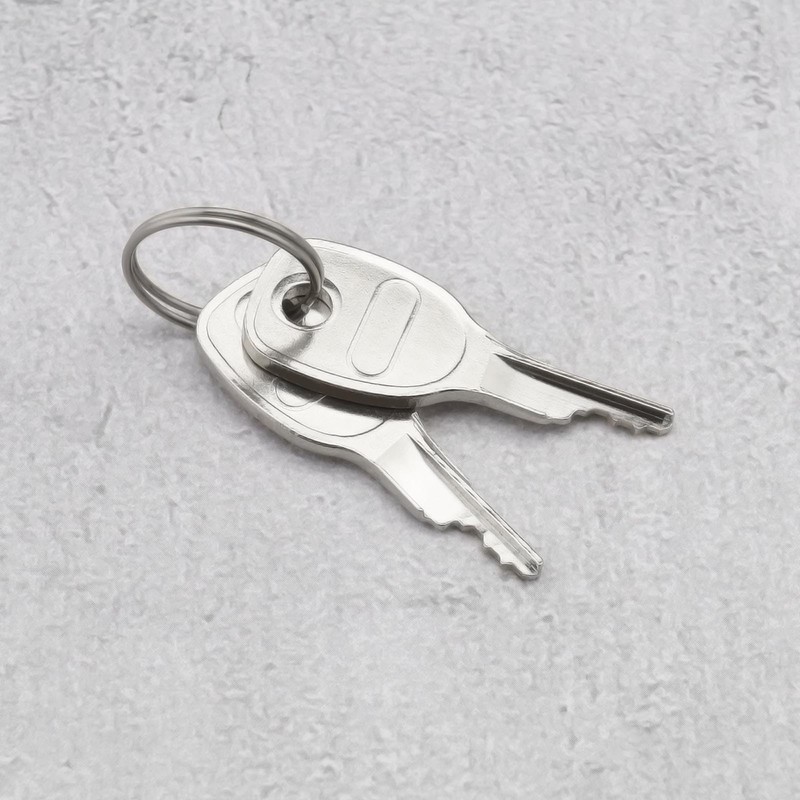 Pack of 2 Tow Bar Lock with 4 Replacement Keys