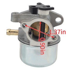 Carbhub 794304 Carburetor for 799866 799871 790845 796707 Troy Bilt TB230 Lawnmower 6.75 hp Craftsman Troy Bilt Pressure Washer Toro 22 Recycler with 802574 Ignition Coil