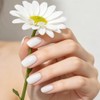 Uñas postizas blancas cortas cuadradas – 32 piezas de uñas
