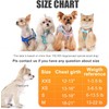 Dog Harness with Leash Set, Step-in Breathable Puppy Cat Dog