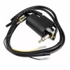 Unbranded 2X Ignition Coil Set Spark Plug For Suzuki Bandit