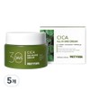 Pretty Skin 30 Days All-in-One Cica Soothing Moisture Cream, 5, 100ml / 프리티스킨 30 Days 올인원 시카 진정 수분크림, 5개, 100ml