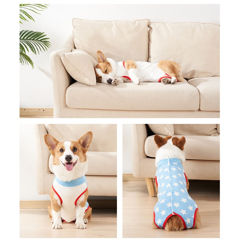 Dog Recovery Suit Blue Stars Pattern Prevents Licking Cotton Pet