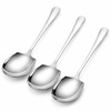 TRACOMPAN 3 Pack Large Serving Spoons, Stainless Steel Serving Spoon