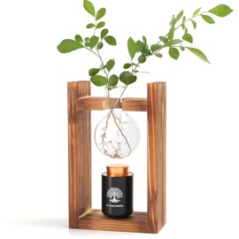 ChoiHeiy Plant Urn with Glass Bulb & Restro Solid Wooden Stand, Small Urns for Human Ashes Keepsake, Memorial Keepsake Urn for Human Ashes, Mini Urns for Human Ashes Keepsake, Small Urn for Ashes