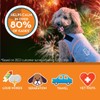 ThunderShirt for Dogs, Large, Platinum Sport - Dog Anxiety Relief
