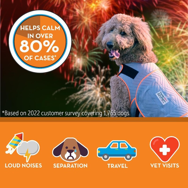 ThunderShirt for Dogs, Large, Platinum Sport - Dog Anxiety Relief