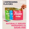 Essential Elements Hydration Packets - Electrolytes Powder Packets Sugar Free
