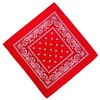 Unknown Biker Motorbike Bandana Head Scarf in Cloth Various Paisley