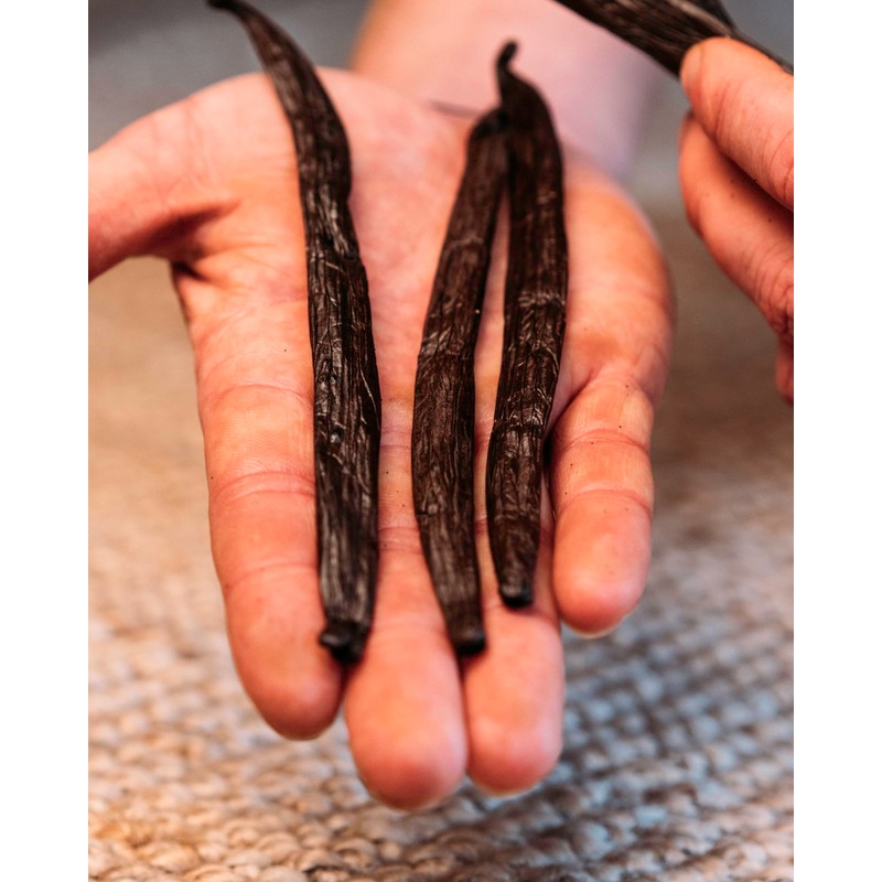 Zazou Emporium - Madagascar Vanilla Pods - Pack of 10