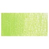 Soft Pastel Apple Green 205