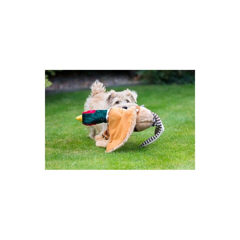 House of Paws Dog Toy - Super Soft Plush Squeaky