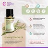 Rocky Mountain Oils Rosemary Essential Oil - 100% Pure and