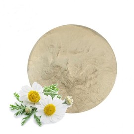 Chamomile Extract Powder 1kg