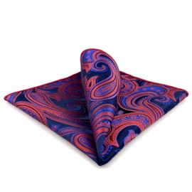 S&W SHLAX&WING Mens Paisley Pocket Squares XL Large for Wedding Prom Party, Ch12