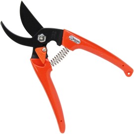 Ladies cactus pruning shears Orange