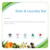 Aleva Naturals Stain and Laundry Bar, 220g
