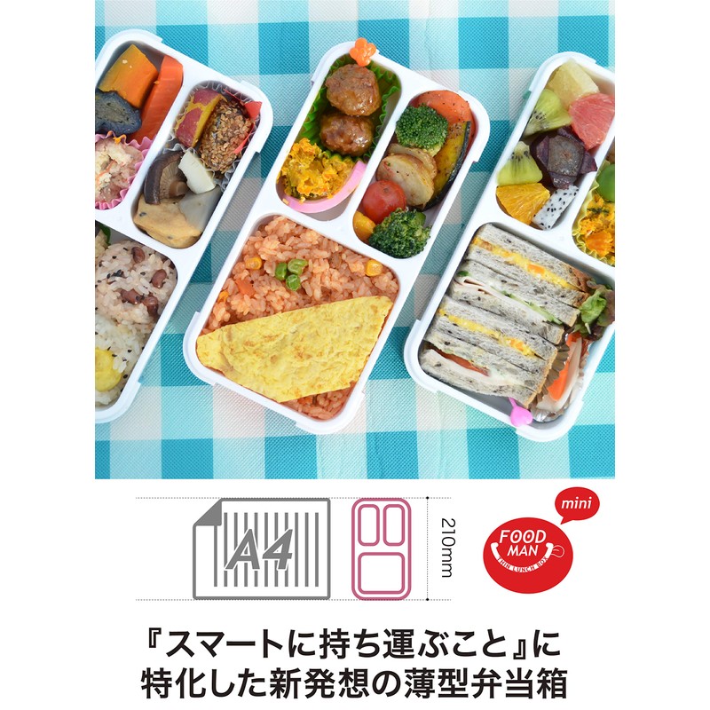 CB Japan DSK Foodman Lunch Box, Mint Green, Thin, 13.5