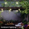 Enbrighten Globe Outdoor String Lights, 44ft, 12 Large 4in Round