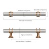 Asidrama 10 Pack 3.75 Inch(96mm) Brushed Satin Nickel and Champagne
