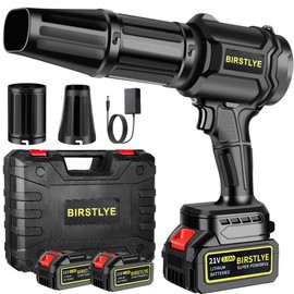 Electric Cordless Leaf Blower with 2 X 3.0Ah Batteries and Charger Included, 300,000 RPM, Extended Nozzle, Lightweight Handheld Design, Blower for Patio Cleaning