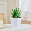 PINGEUI 150 Pcs Nursery Plant Pots, 3Inch Clear Plant Seedling