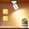 12V LED Ceiling lamp COB Spotlight, 6 Pcs Wärmeweiß Light