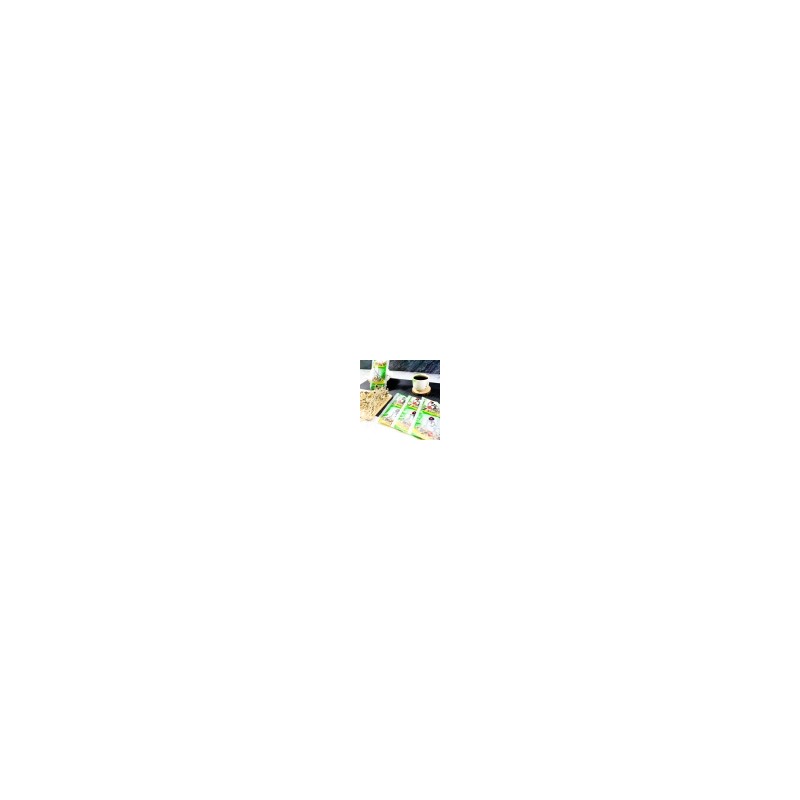 Healthy Woo Seul Ju -seul Extract 110ml 60 Pack /