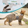 YIZHI MIAOW Arnés y Correa tácticos para Gatos para Caminar,