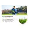 Nihon Waken 100% Pure Domestic Barley Grass Leaf Powder, 46