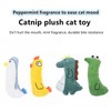 Adorable Cartoon-Shaped Pet Plush Toys with Catnip Infusion - Interactive