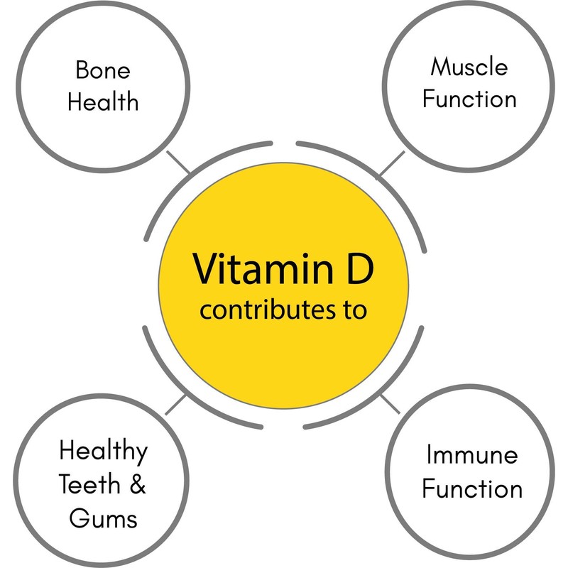SynBio Premium - Vitamin D 1000 IU Capsules | Vegetarian