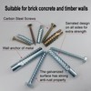 ZUYUEE 30PCS 3/8×2-3/8 in Screws and Wall Plugs Set,Concrete Anchors