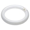 Bell Lighting 22W T9 Triphosphor Circular Tube - 4 Pin,