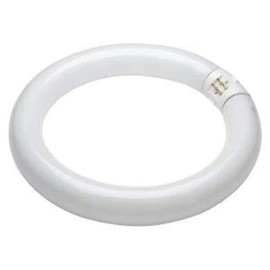 Bell Lighting 22W T9 Triphosphor Circular Tube - 4 Pin, 4100K