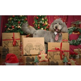 Monster J Xmas Dog Gift Boxwith Santa Hat (for People), Other Accessories Xmas