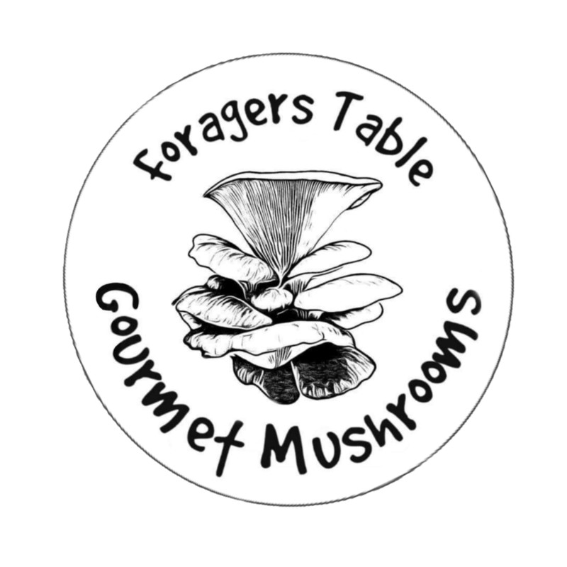 Foragers Table Gourmet Mushroom Growing Kit Bundle Containing Lion's Mane