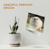 1 x Greeting Card Cute Wombat Australia Animal - Blank