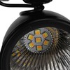 Solar Projection Light Human Body Induction 2‑Color Solar Lawn Lamp