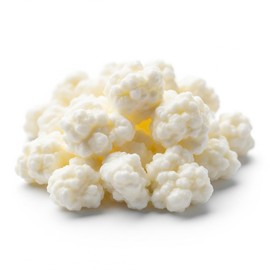 NatuDelight Live Milk Kefir Grains - Non-GMO, Easy to Make Homemade Kefir - Probiotic Starter Culture (1 TBSP) - Reusable, Bulgaros