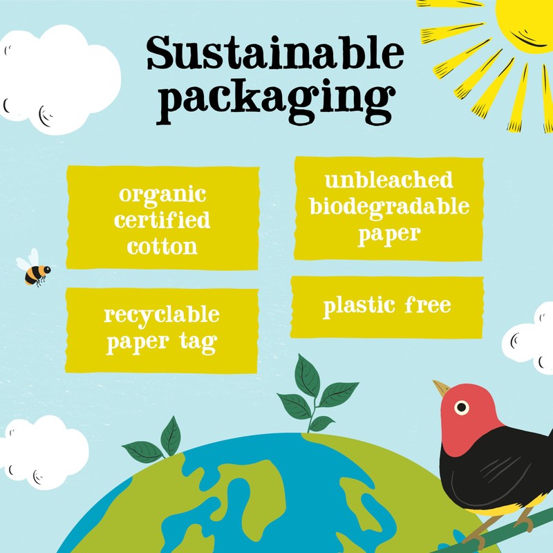 (3 PACK) - Clipper - Organic Lemon & Ginger |