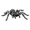 Bullyland 68457 Figure Animal World-White Kneed Spider