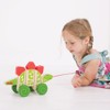 Bigjigs Toys Pull Along (Stegosaurus)