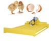 Automatic Egg Turner Convenient 32 Eggs Plastic Tray Turning Hatcher