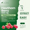 Purely Holistic Purely Holistic Hawthorn Berry 665mg + Magnesium Glycinate