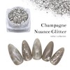 irogel Nail Town Nail Art, Champagne Nude Glitter, Approx. 0.04