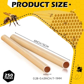 Tinideya 250 Pcs Phragmite Reed Mason Bee Tubes Set Bee Hotel Nest Box Pollinator Bee Box for Mason Bee Houses Natural Phragmite Bee Nest Bees Supplies Refill Your Mason Bee House Bee Hive